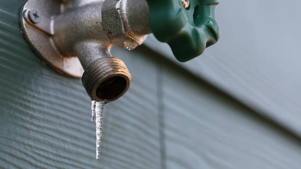 Best Residential Plumbing Services  in Panguitch, UT